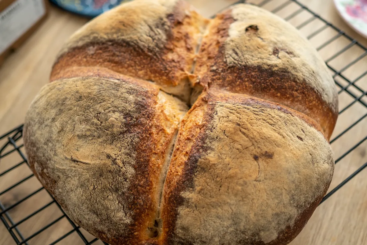 "Difference Between Sourdough Starter and Discard - Sourdough starter and discard displayed side by side to show their differences."